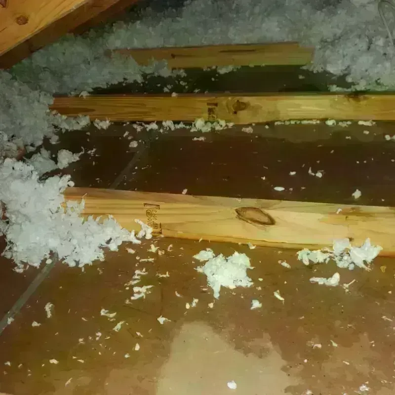 Attic Water Damage in John Day, OR