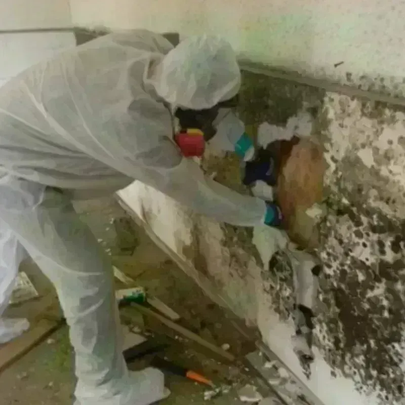 Mold Remediation and Removal in John Day, OR