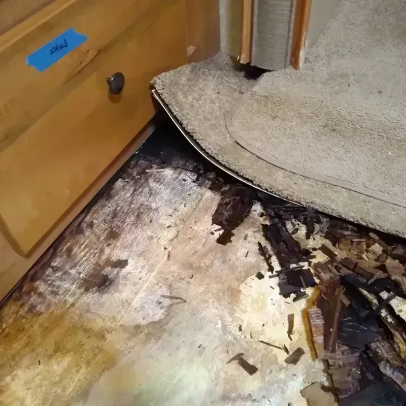 Best Wood Floor Water Damage Service in John Day, OR